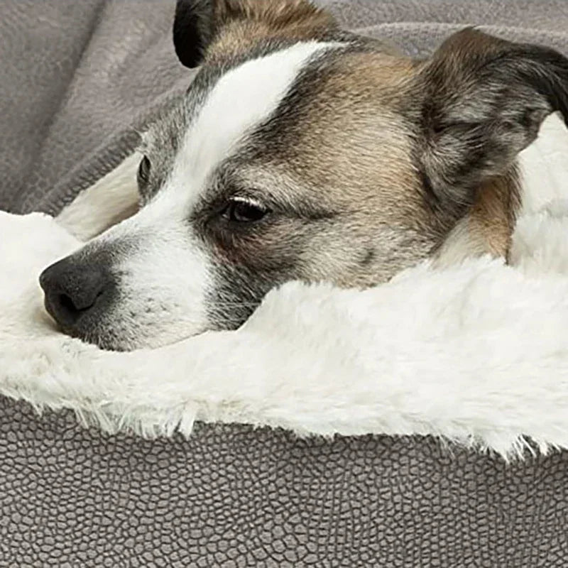 Cama Donut 4 Estaciones – Calor, Comodidad y Estilo para tu Mascota