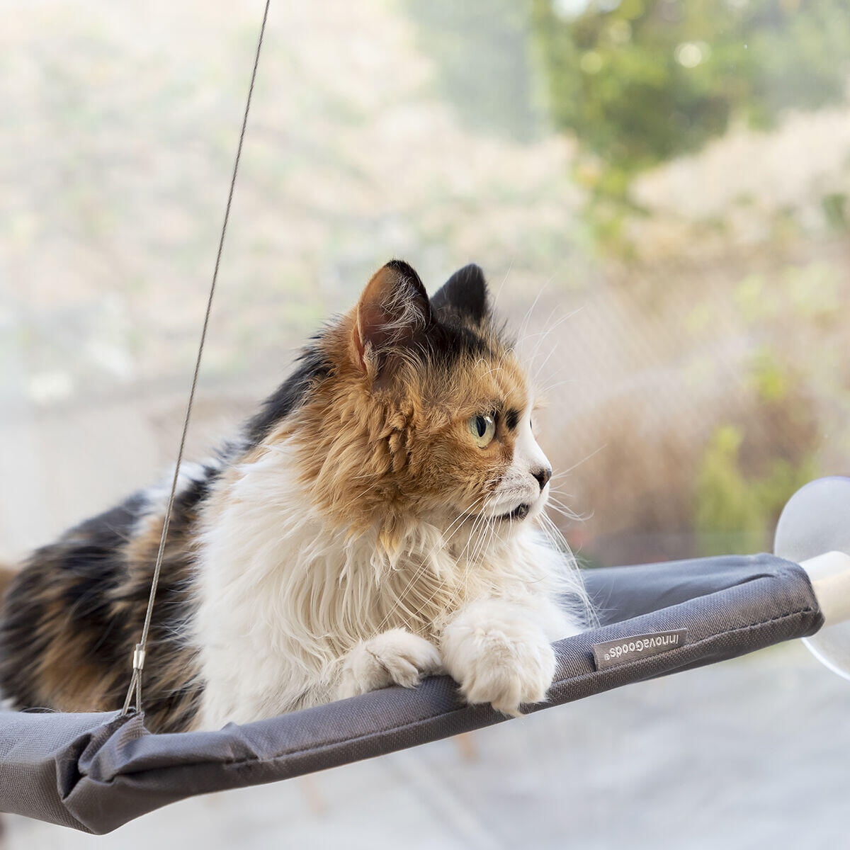 Hamaca Colgante Catlax – Relax para tu Gato