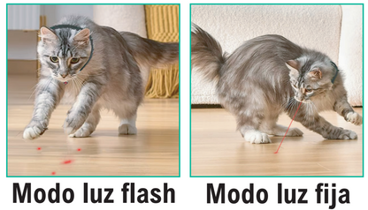 LáserCat Collar – Diversión sin fin para tu gato